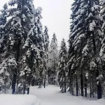 Saisera Hotel 3*