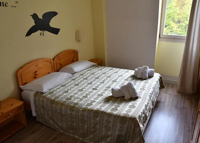 Отель Saisera 3*